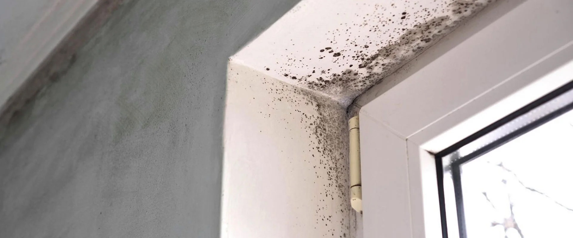 Themenbild zur Begutachtung von Feuchtigkeit und Schimmel durch das Sachverständigenbüro Dreher